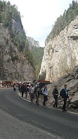 20180406_115728.jpg