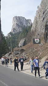 20180406_120154.jpg