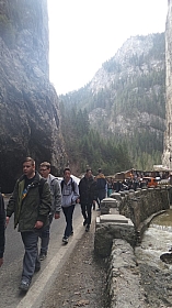 20180406_120620.jpg