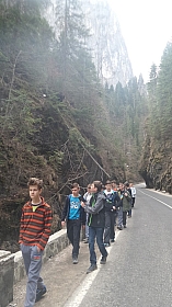 20180406_121555.jpg