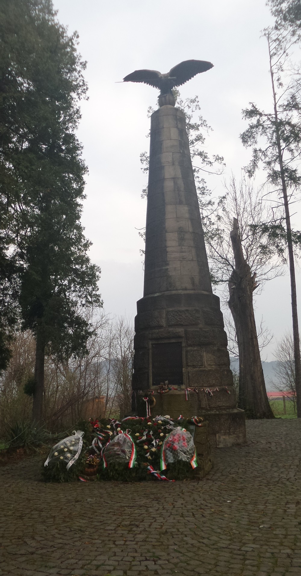 20180407_091043.jpg