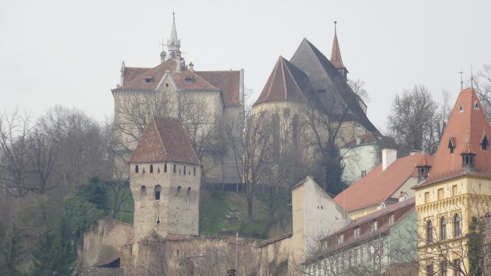 20180407_100540.jpg