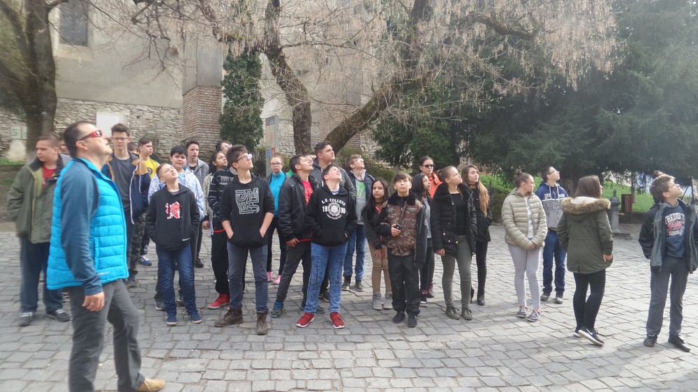 20180407_101216.jpg