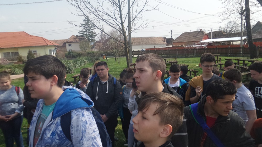 20180407_124641.jpg