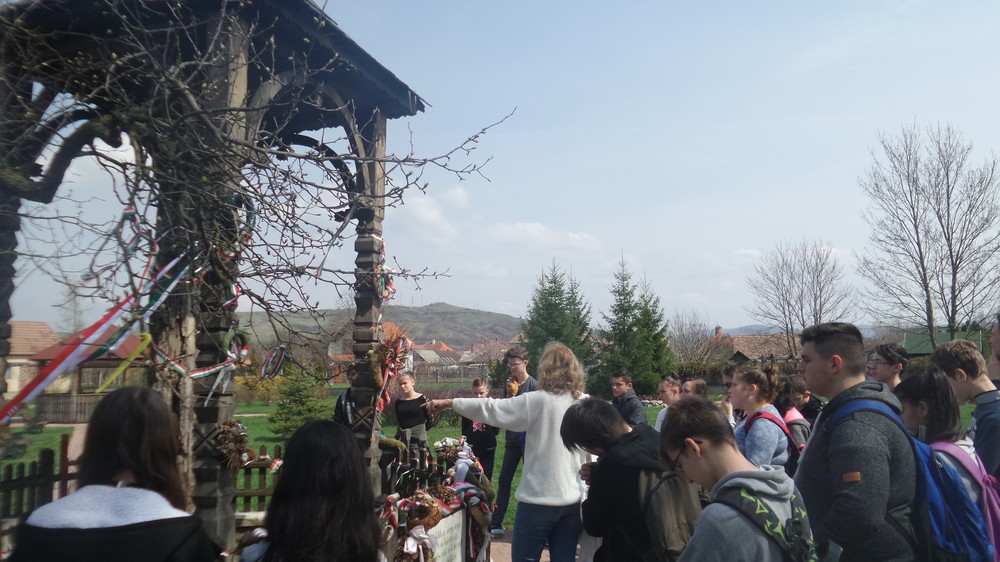 20180407_125307.jpg