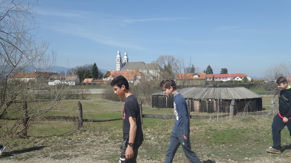 20180408_125428.jpg