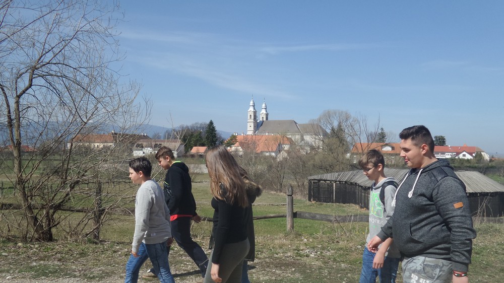 20180408_125432.jpg