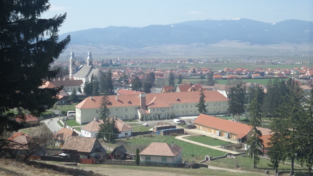 20180408_133920.jpg