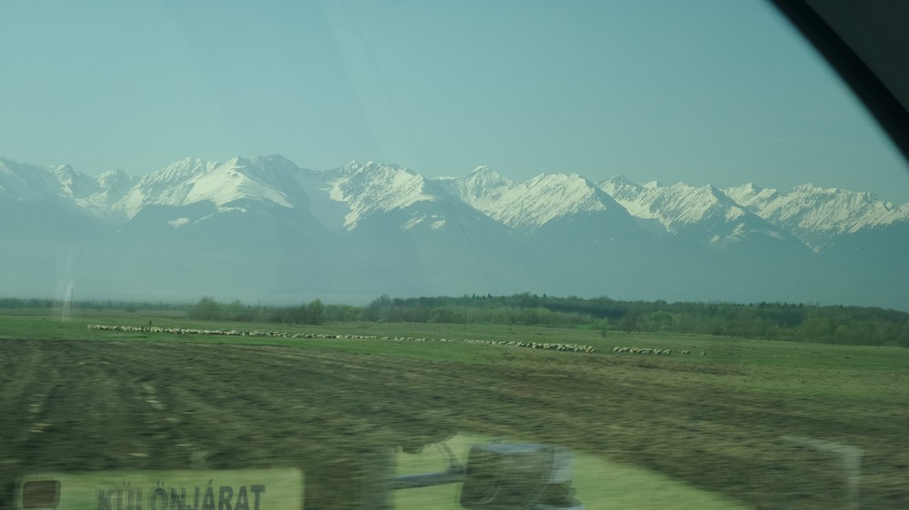 20180409_093822.jpg