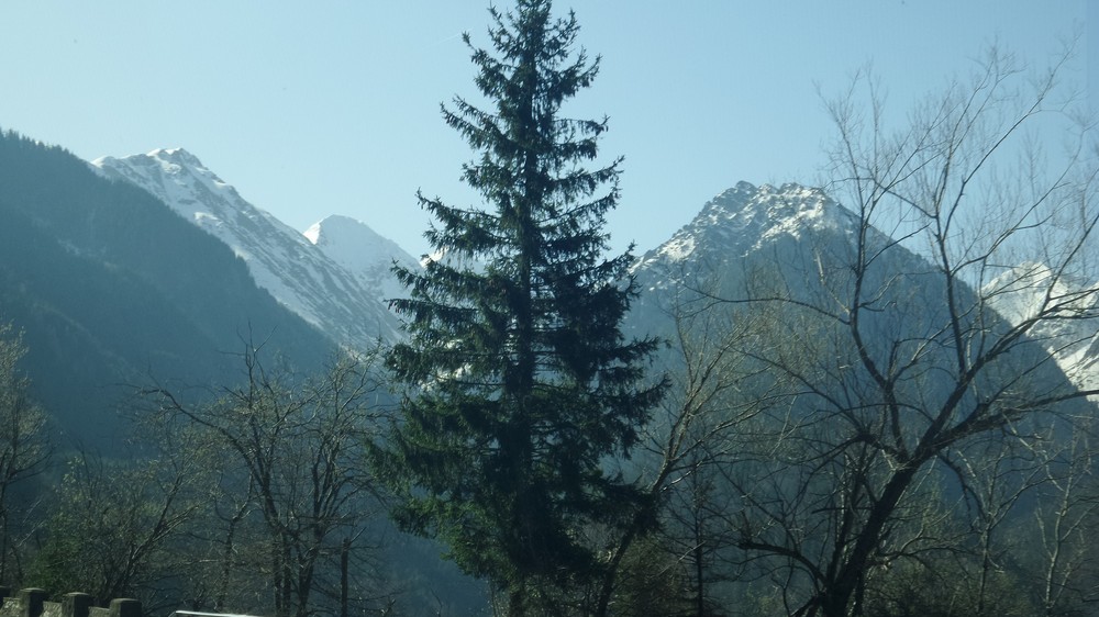 20180409_101531.jpg
