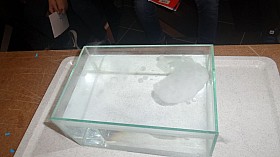 20180206_093024.jpg