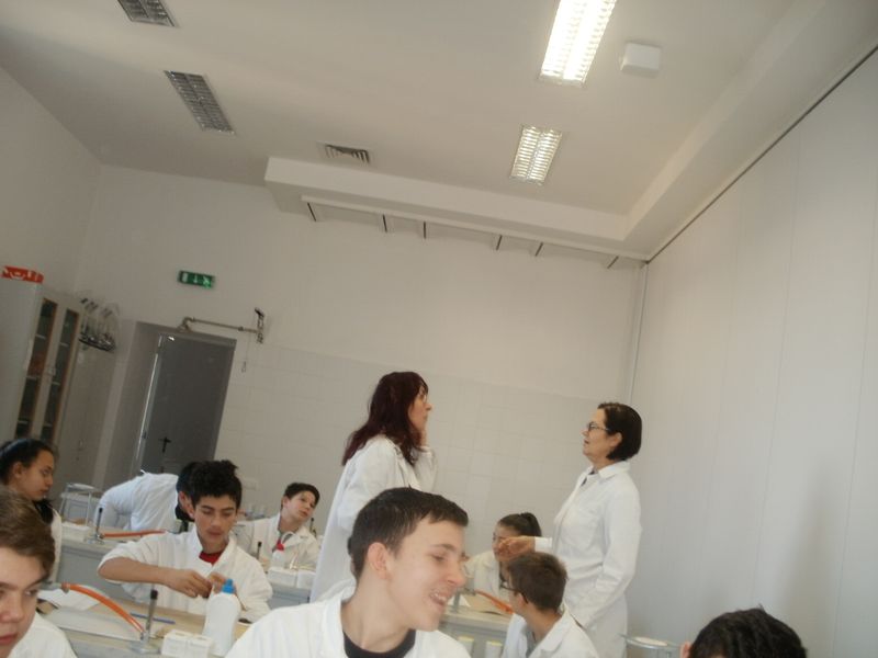 P2160005.JPG