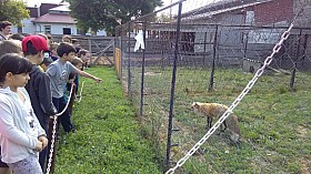 IMG_20180525_091144.jpg