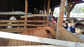 IMG_20180525_091936.jpg