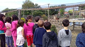 IMG_20180525_093614.jpg
