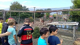 IMG_20180525_093758.jpg