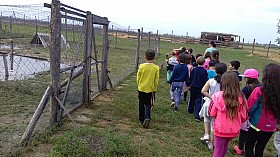 IMG_20180525_094647.jpg