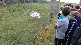 IMG_20180525_095047.jpg