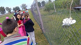 IMG_20180525_095108.jpg