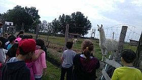 IMG_20180525_095334.jpg