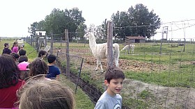 IMG_20180525_095346.jpg