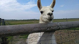 IMG_20180525_095447.jpg