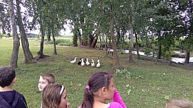 IMG_20180525_100222.jpg