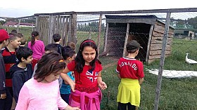 IMG_20180525_100457.jpg