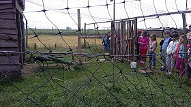IMG_20180525_100720.jpg