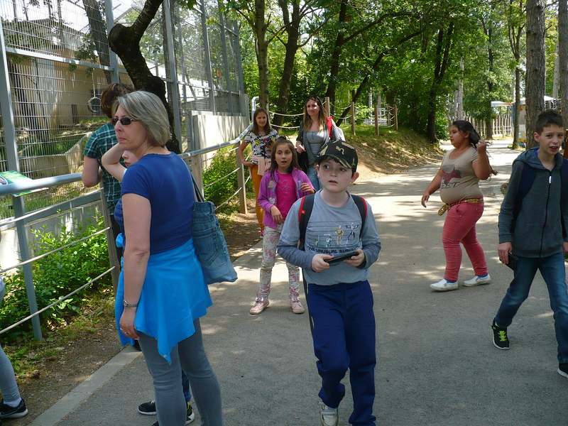 P1080409.JPG