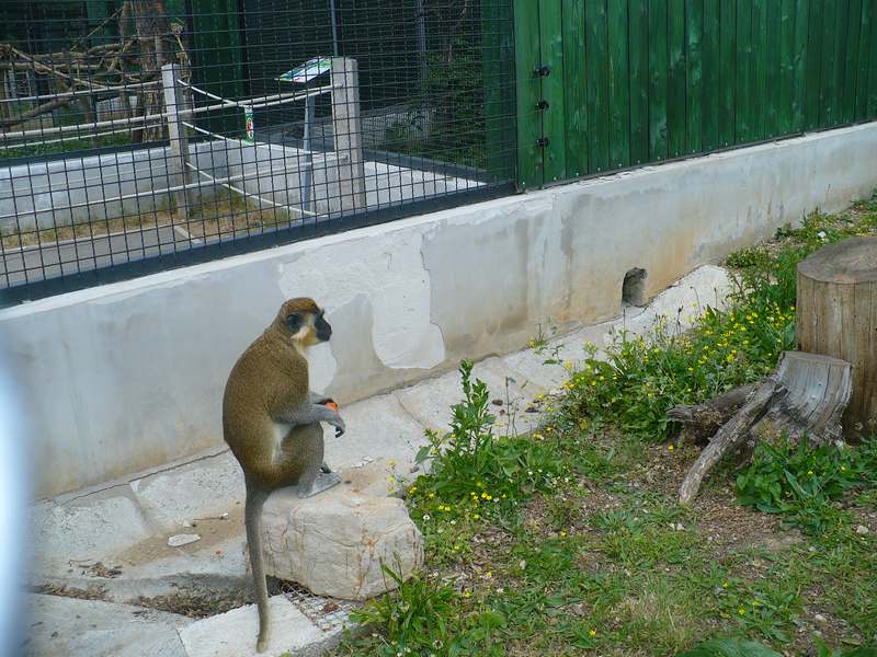 P1080415.JPG