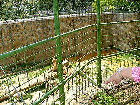P1080413.JPG