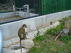 P1080415.JPG