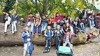 IMG_20191004_111230.jpg