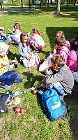 IMG_20191004_120857.jpg