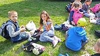 IMG_20191004_120946.jpg