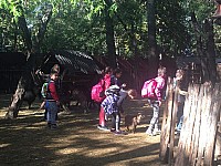 received_2212483719051521.jpeg