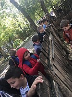 received_2658990730827399.jpeg