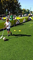 IMG_20191001_130133.jpg