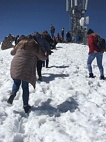 58377949_2186564884713977_7971755619759685632_n.jpg