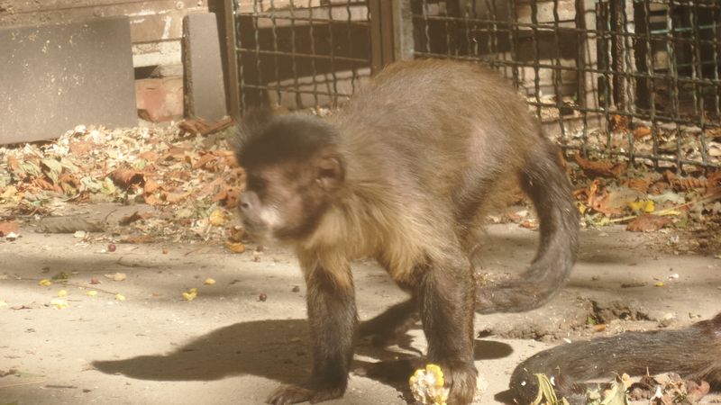20190920_102447.jpg
