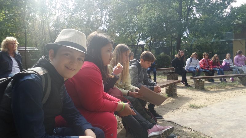 20190920_113136.jpg