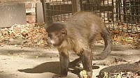 20190920_102447.jpg