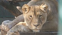 20190920_102544.jpg