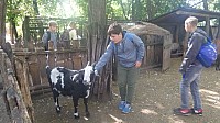 20190920_104044.jpg
