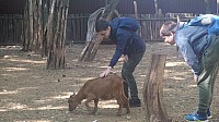20190920_104354.jpg