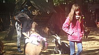 20190920_104457.jpg