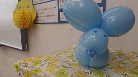 20190328_111211.jpg