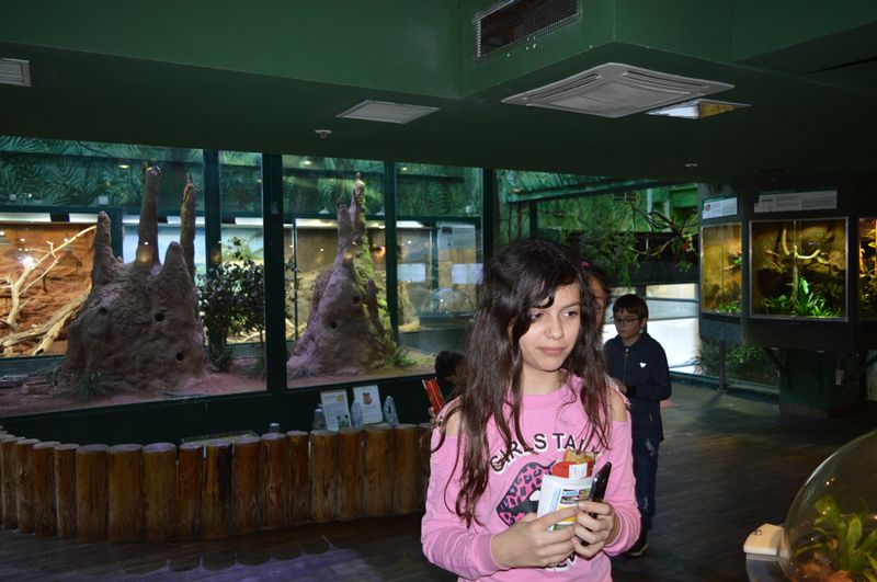 DSC_2000.JPG