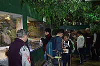 DSC_1994.JPG